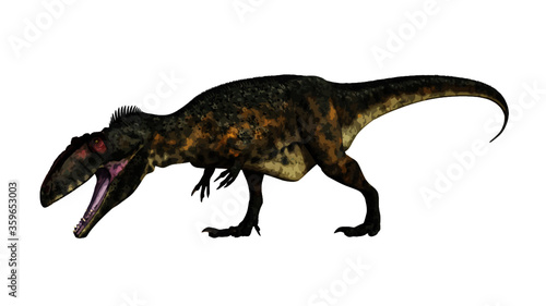 Terrifying giganotosaurus dinosaur roaring head down isolated in white background - 3D render