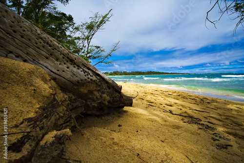 untouched dream beach in hawaii
