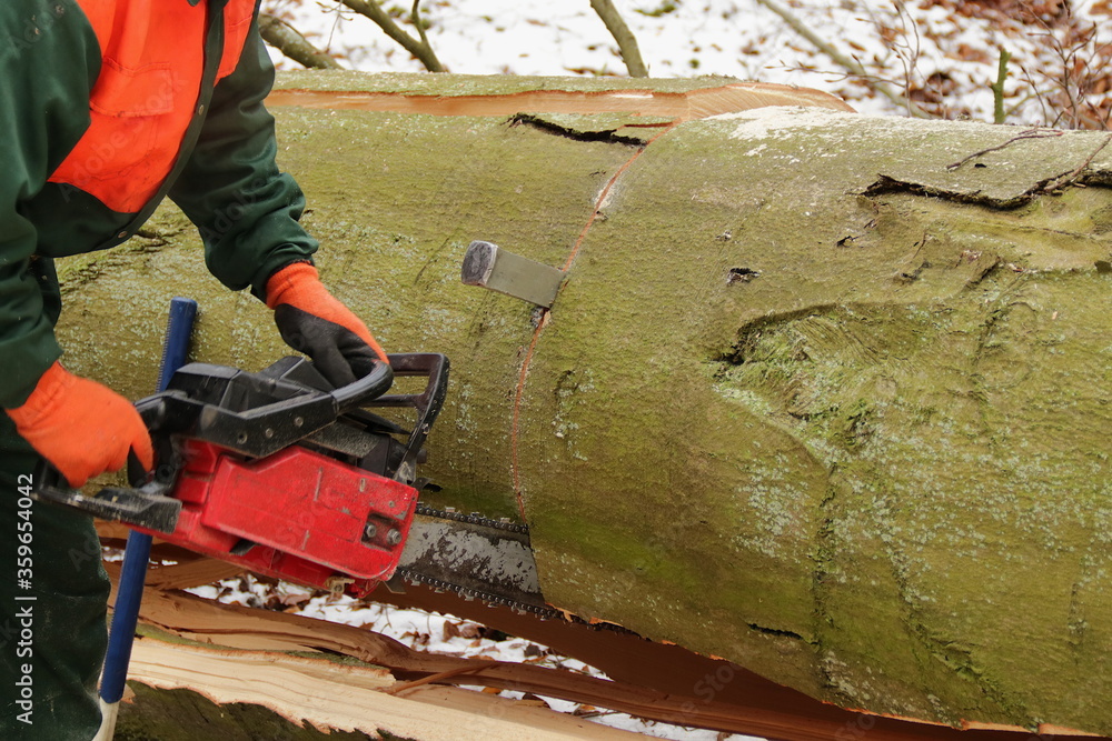 Holzfäller mit Motorsäge zersägt einen Baumstamm
mit Keil zum Spalten