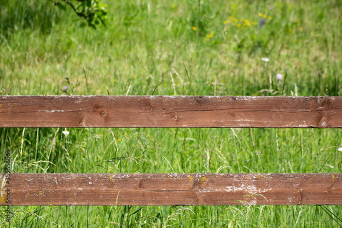 Wooden boards of a fence with grass in the background