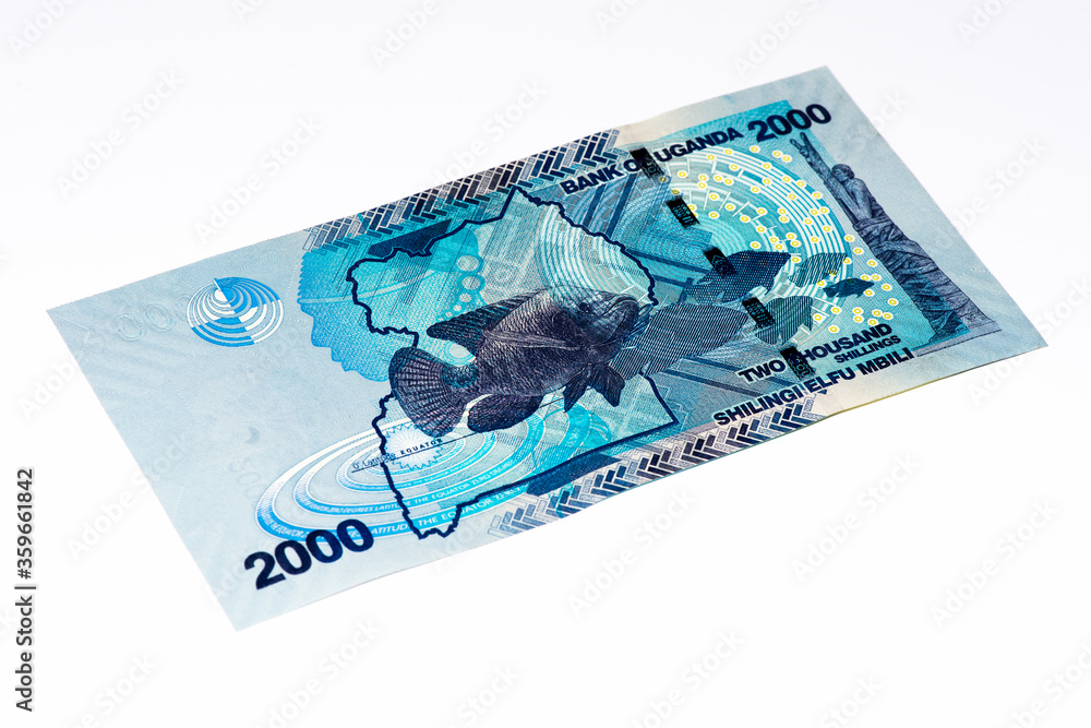 Currancy banknote of Africa