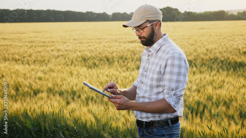 Tableau sur toile A man with a beard wears a cap and glasses, works with a digital tablet in a wheat field