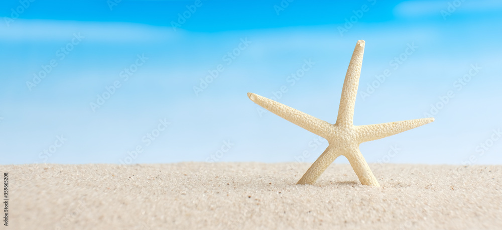 Closeup starfish on white sand beach with blurred blue sea background Closeup starfish on white sand beach with blurred blue sea background