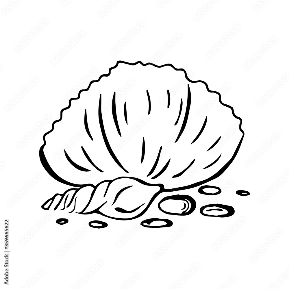 Seashells vector summer set. Black outline sea shells isolated on white background. Hand drawn shells image style doodle. Stock Illustration for summer decoration, clothes print Seashells vector summer set. Black outline sea shells isolated on white background. Hand drawn shells image style doodle. Stock Illustration for summer decoration, clothes print