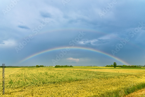 Double Rainbow over a field