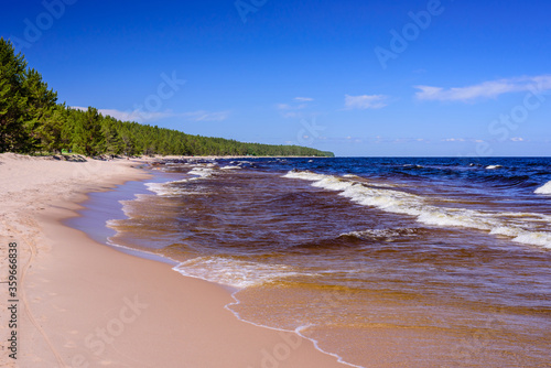 Ladoga lake. Picturesque sandy beach on lake Ladoga near Priozersk town  Leningrad region  Russia
