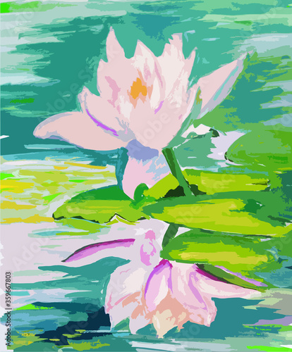 pink water lily