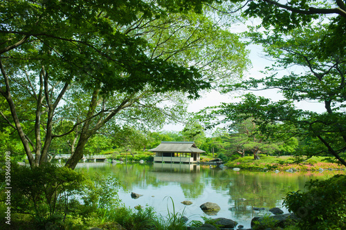 japanese garden