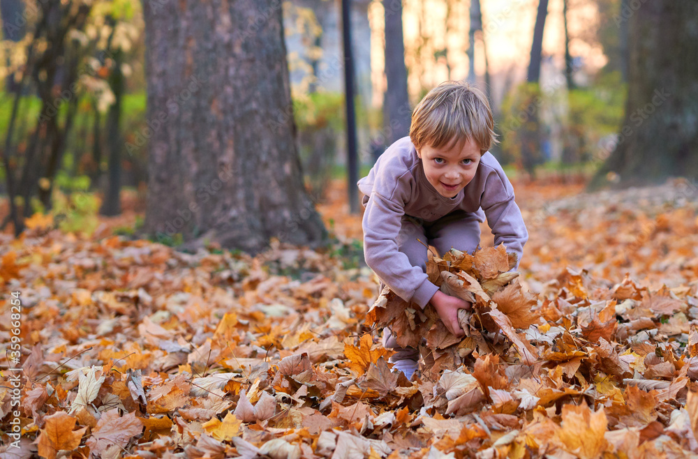 Little boy running in autumn fallen leaves. Play, alley. Little boy running in autumn fallen leaves. Play, alley.