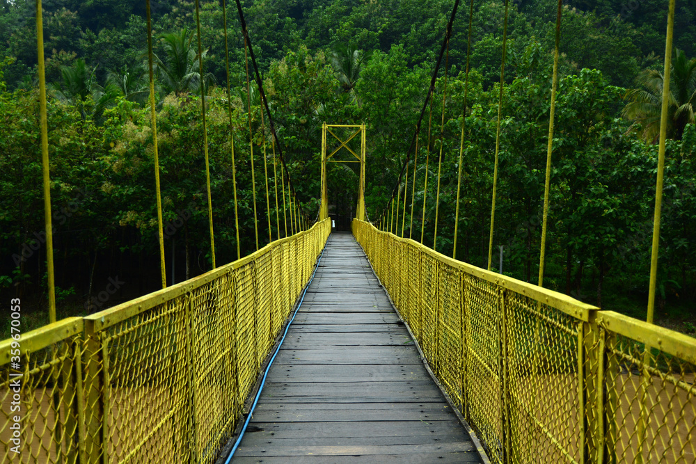 suspension bridge in the forest suspension bridge in the forest