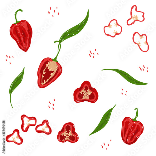 Red habanero pepper pattern. Red habanero chili pepper vector illustration set. Whole habanero, slice, cut, rings, leaves