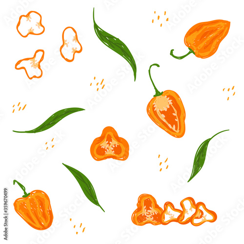 Orange habanero pepper pattern. Yellow habanero chili pepper vector illustration set. Whole habanero, sliced, cut, half, leaves, rings