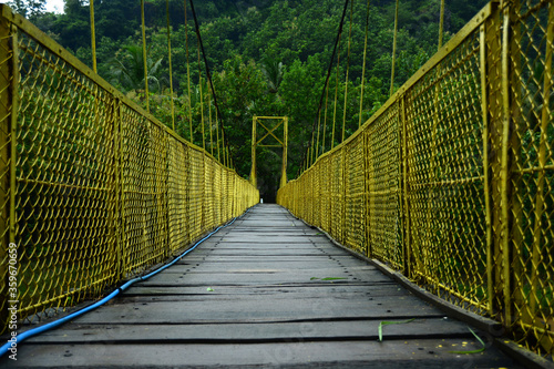 Fototapeta Naklejka Na Ścianę i Meble -  yellow bridge in the forest
