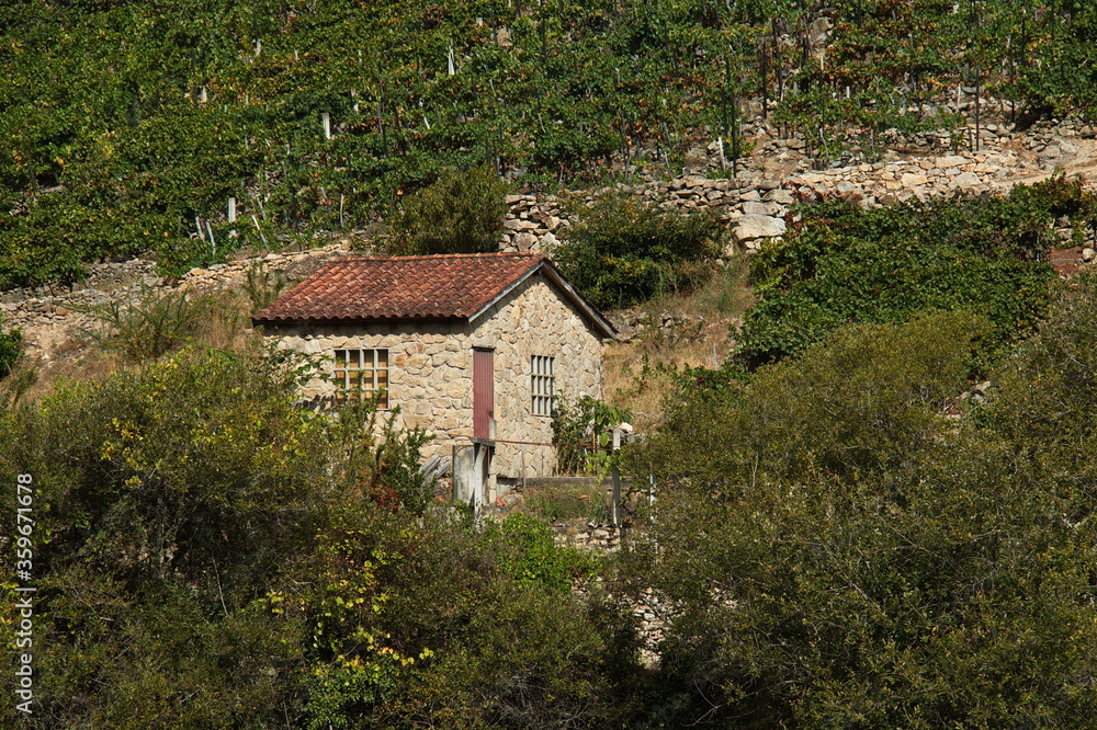 Rural house in Canyon del Sil at Santo Estevo in Galicia,Spain,Europe
