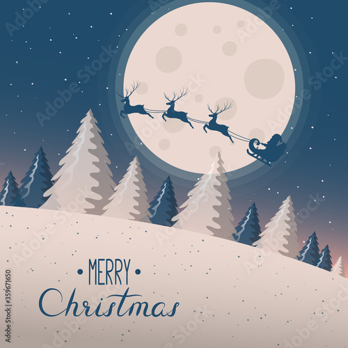 Christmas card template with magic fir trees, stars, moon at night and santa claus with reindeer silhouettes. Vector isolated border with snowy forest. Holiday banner for noel with lettering.