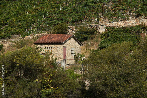 Rural house in Canyon del Sil at Santo Estevo in Galicia,Spain,Europe 
