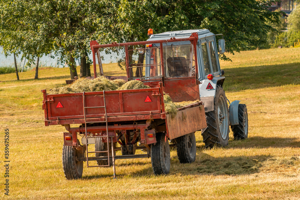 Tractor takes out cut grass in park