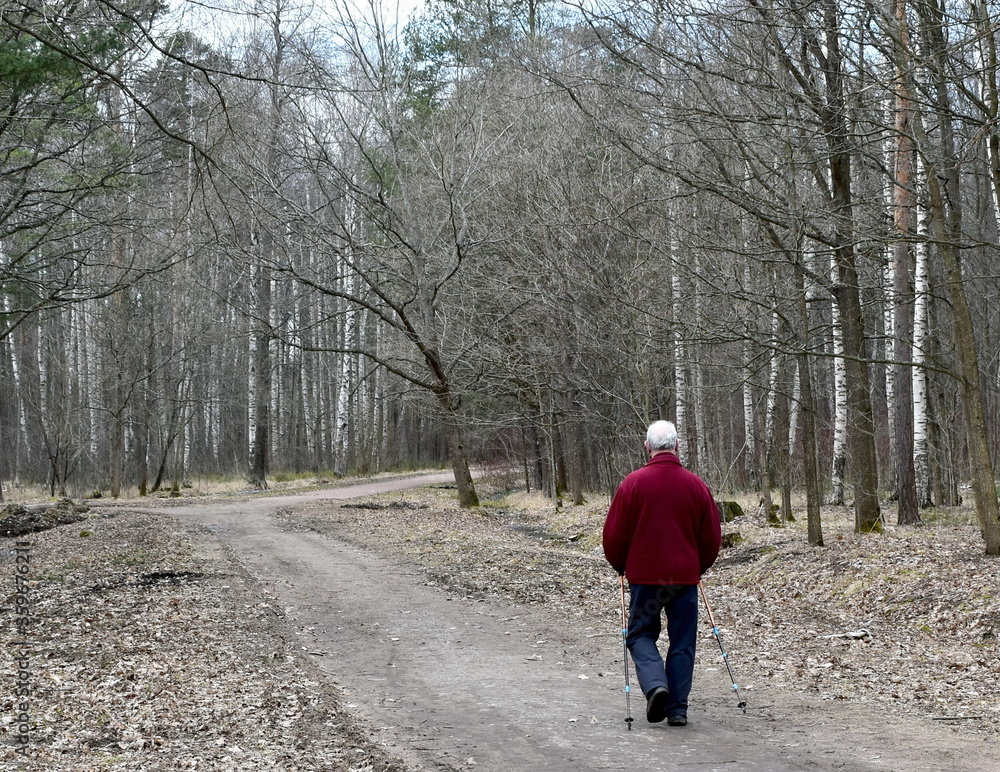 An elderly man is engaged in Nordic walking An elderly man is engaged in Nordic walking