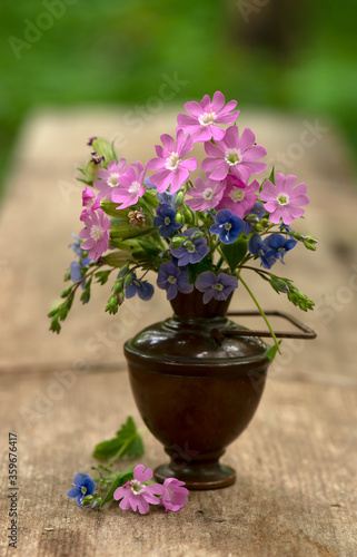 Fototapeta Naklejka Na Ścianę i Meble -  flowers in a vase
