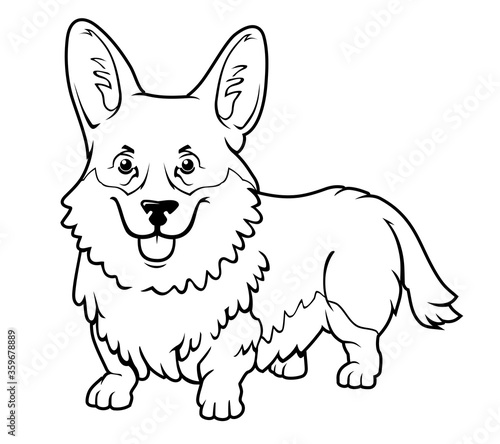 Corgi Dog Adorable Pet  Line Art Illustration
