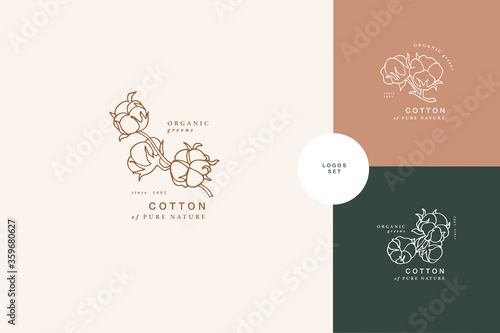 Vector illustration cotton branch - vintage engraved style. Logo composition in retro botanical style. photo
