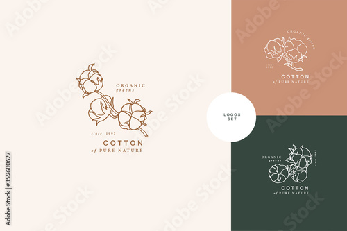 Vector illustration cotton branch - vintage engraved style. Logo composition in retro botanical style.
