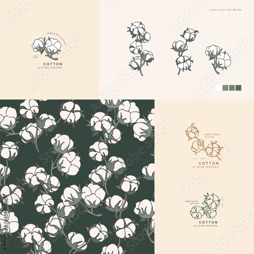 Vector illustration cotton branch - vintage engraved style. Logo composition in retro botanical style. Seamless pattern.