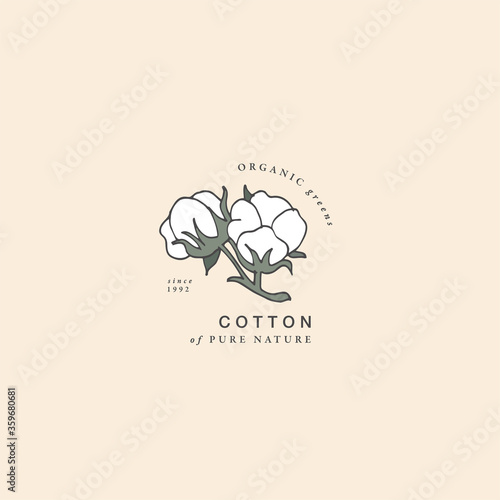 Vector illustration cotton branch - vintage engraved style. Logo composition in retro botanical style.