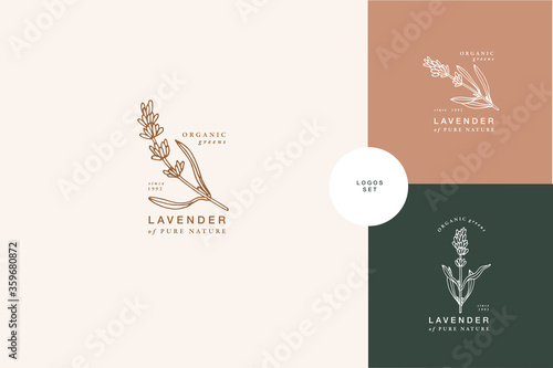 Vector illustration lavender branch - vintage engraved style. Logo composition in retro botanical style.
