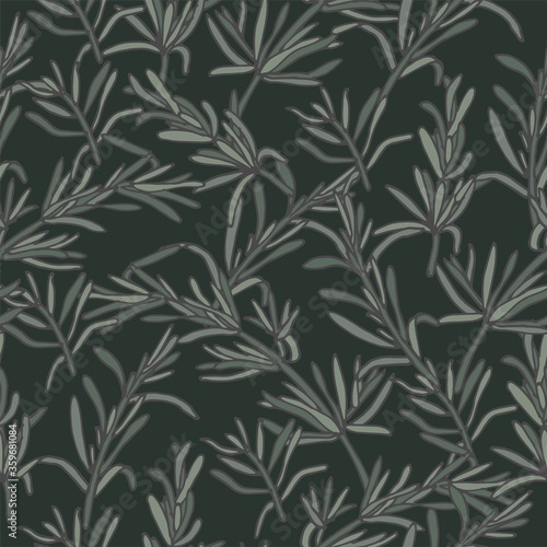 Vector illustration rosemary branch - vintage engraved style. Seamless pattern in retro botanical style.
