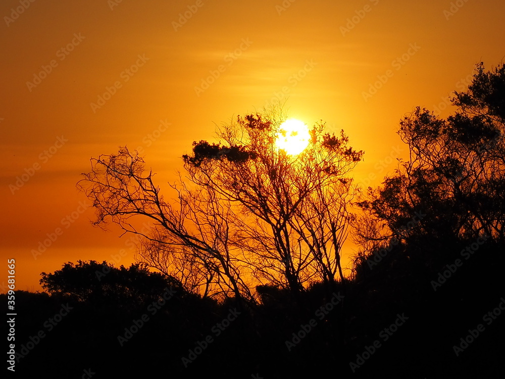 Dazzling australian sunset.