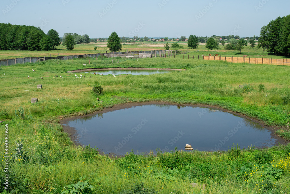 Beatiful landscape with ponds