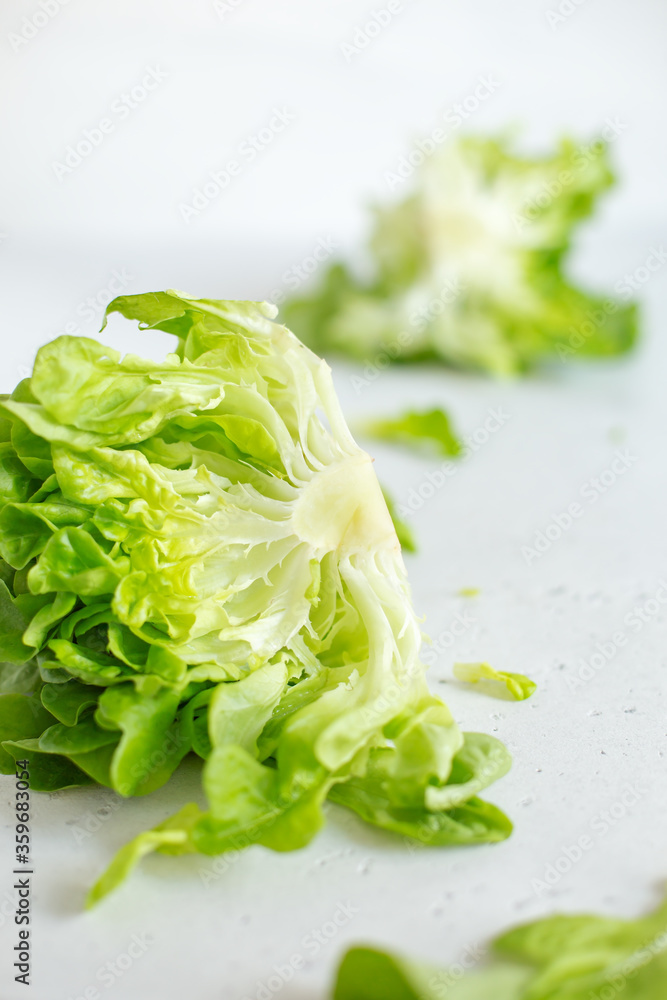 Fresh butter head of green lettuce leaves Fresh butter head of green lettuce leaves