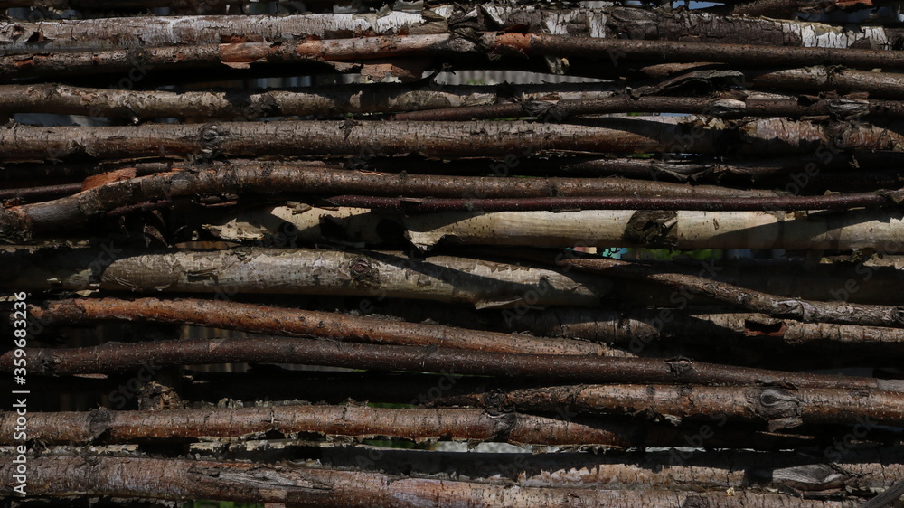 wood background of thin young birch interlaced trunks