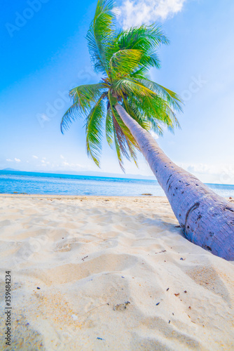 Fototapeta Naklejka Na Ścianę i Meble -  Beautiful beach. View of nice tropical beach with palms around. Holiday and vacation concept. Tropical beach. Beautiful tropical island in Thailand.