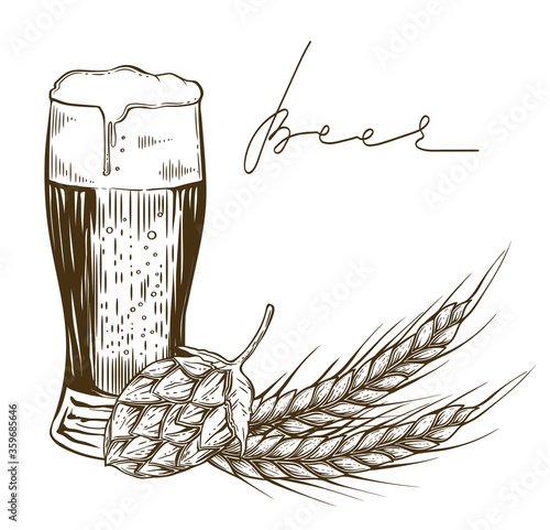 Glass of beer with hop and wheat spikes, hand drawn vector, engraing style
