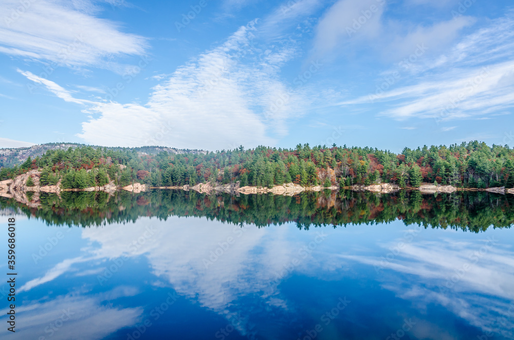 Obraz premium Forest lake