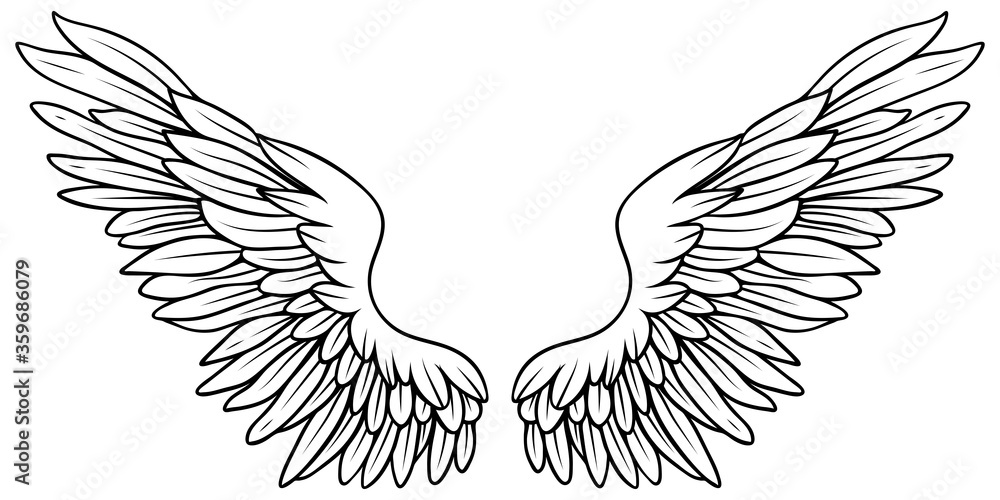 Beautiful black and white hand drawn vector Beautiful black and white hand drawn vector