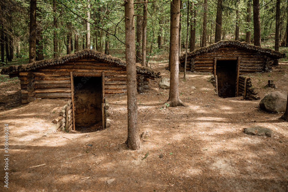 old military dugout in the forest