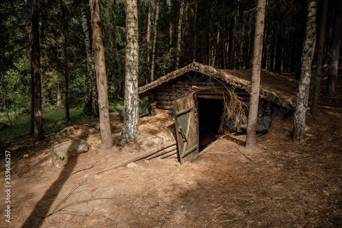 Obraz na plátně old military dugout in the forest