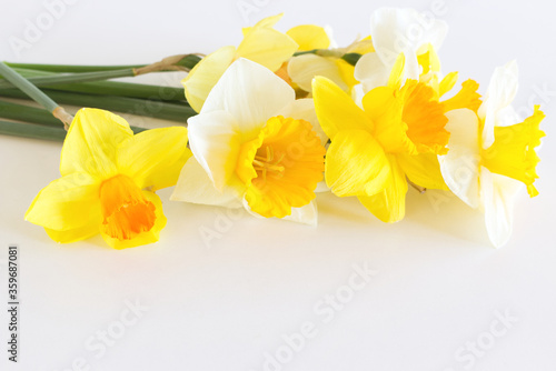 Yellow Narcissus flowers on a light white background. Spring flowers. Congratulation floral background for greeting card.