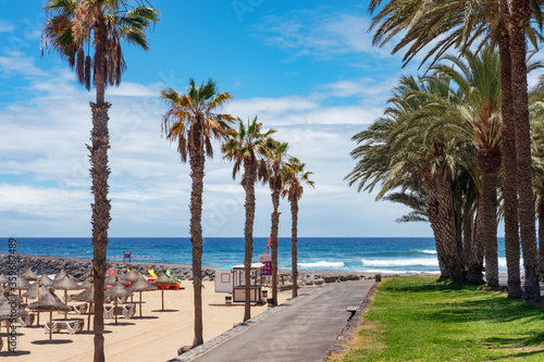 Path nearby Playa del Camison, in Las Americas, Tenerife, a very popular beach for swimming and sunbathing, with fine sand, sun beds and palapas, surrounded by palm trees, completely empty in lockdown