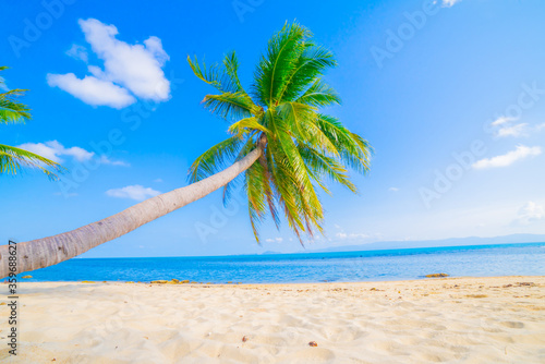 Fototapeta Naklejka Na Ścianę i Meble -  Beautiful beach. View of nice tropical beach with palms around. Holiday and vacation concept. Tropical beach.