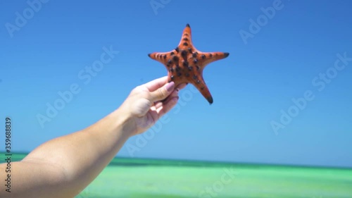 Rear view of blondie woman holding a starfish at beach over blue sky and sea. Close up view,fucosed on hair and hand of the woman holding an orange starfish against blue sky, turqouise water on summer photo