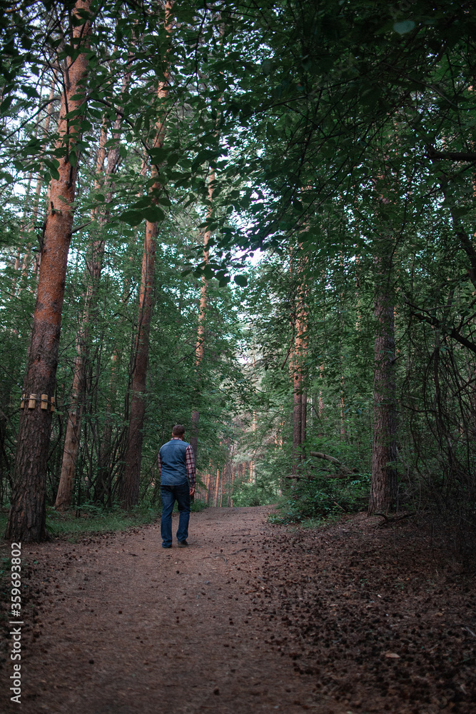 A man walks through the coniferous forest A man walks through the coniferous forest