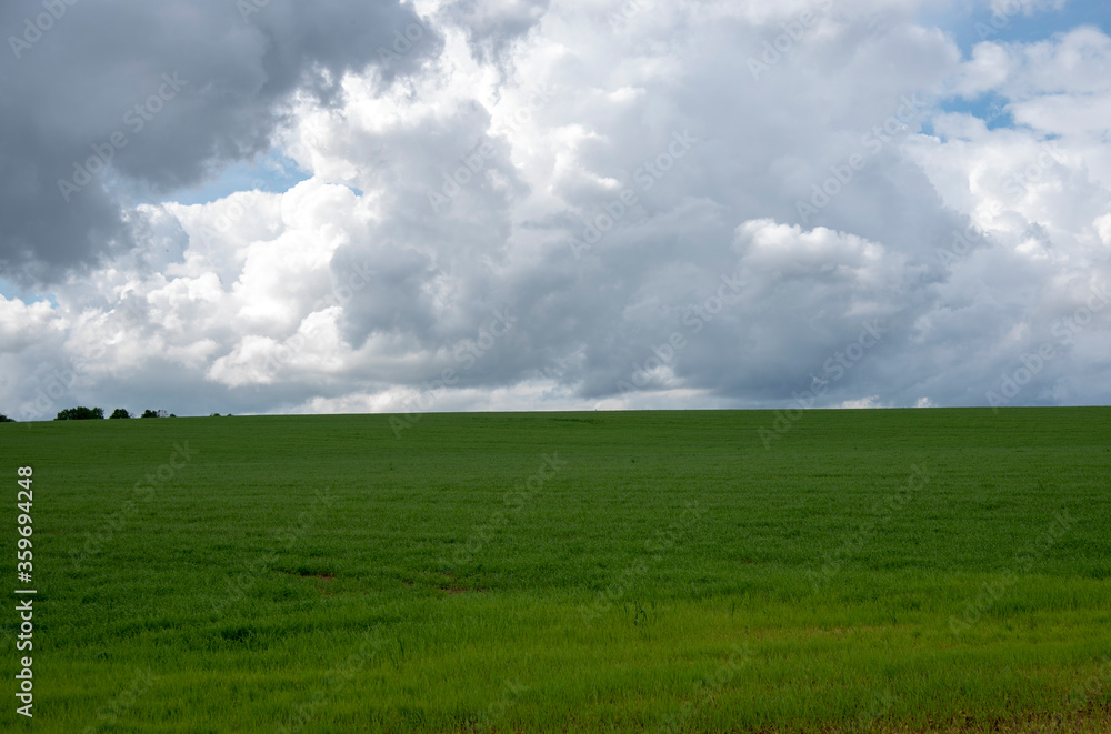 Vast bright green fields under a sky with thick clouds.