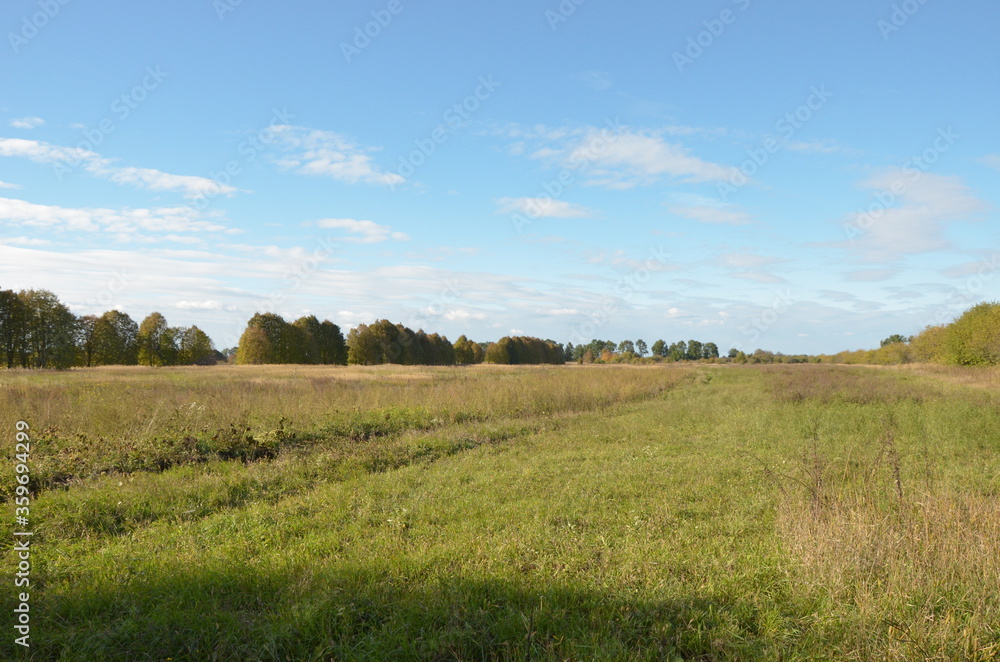 autumn field landscape.