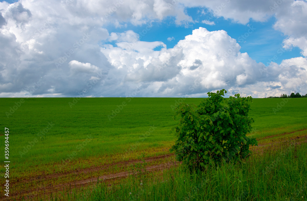 Obraz premium Vast bright green fields under a sky with thick clouds.