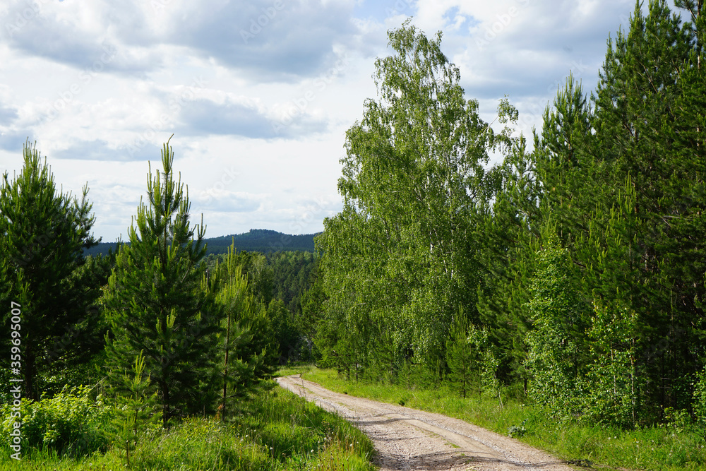 The road through the forest. Beautiful summer nature landscape with green forest, road and blue sky with clouds.