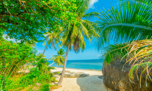 Beautiful tropical island beach, summer nature scene beach, blue sky and palm trees - Koh Samui Thailand